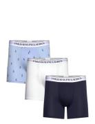 Polo Ralph Lauren Stretch Cotton Boxer Brief 3-Pack Marinblå