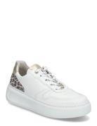 Gabor Sneaker Vit