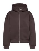 Weekday Scuba Hoodie Brun