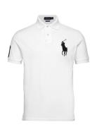 Polo Ralph Lauren Basic Mesh-Ssl-Knt Vit